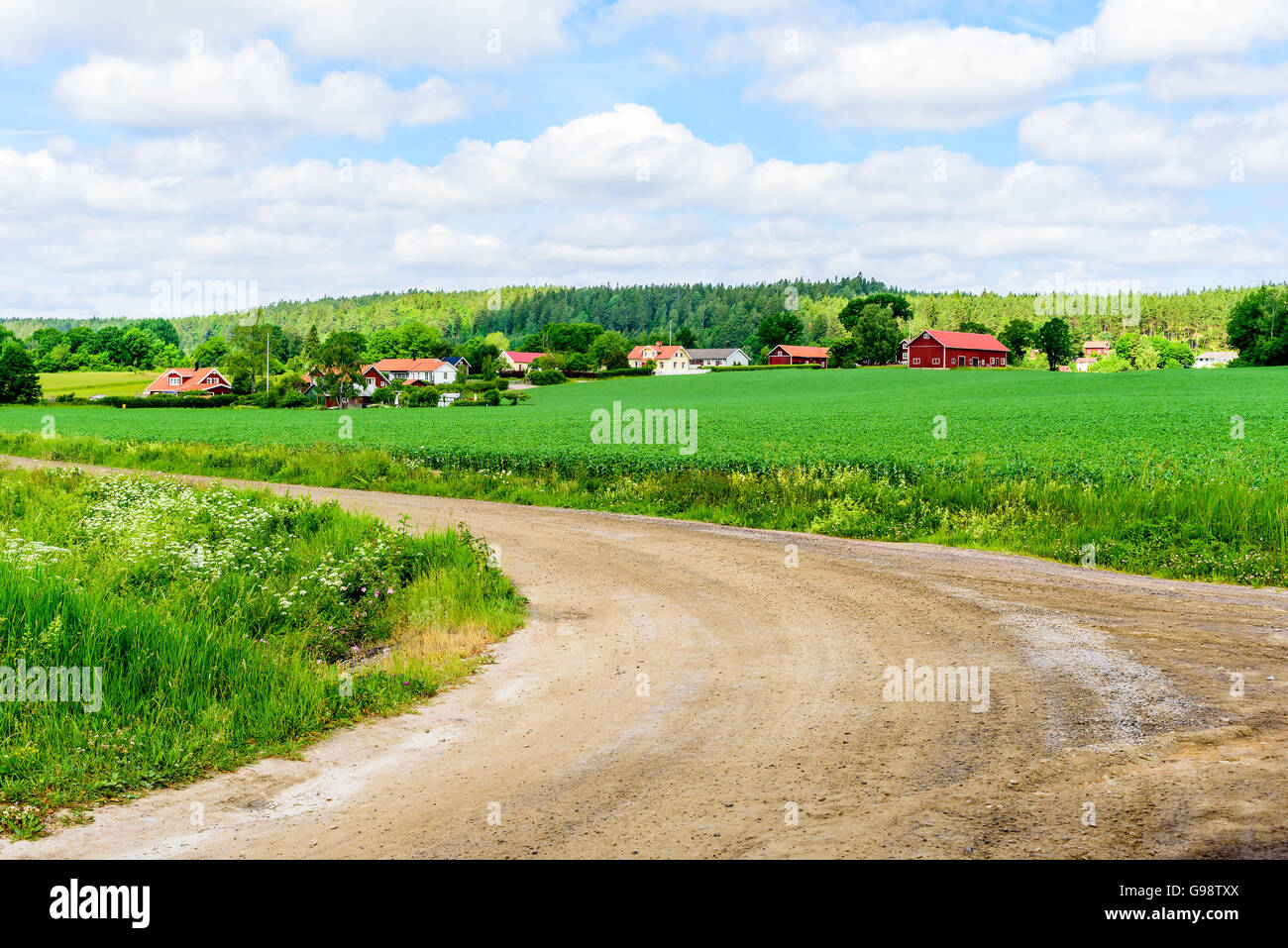 Loddby, Schweden – 20. Juni 2016: Das Dorf der Loddby aus einer Gabel in der Straße gesehen. Wald in den Feldern im Vordergrund und Hintergrund Stockfoto