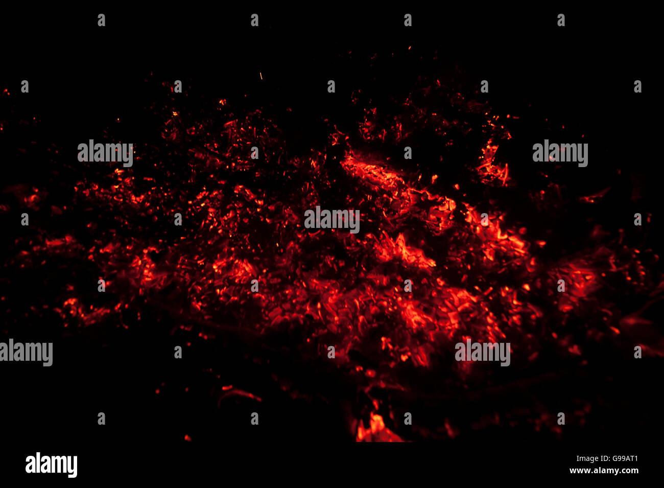 Schweden mit Pflanzen im Herbst Stockfoto