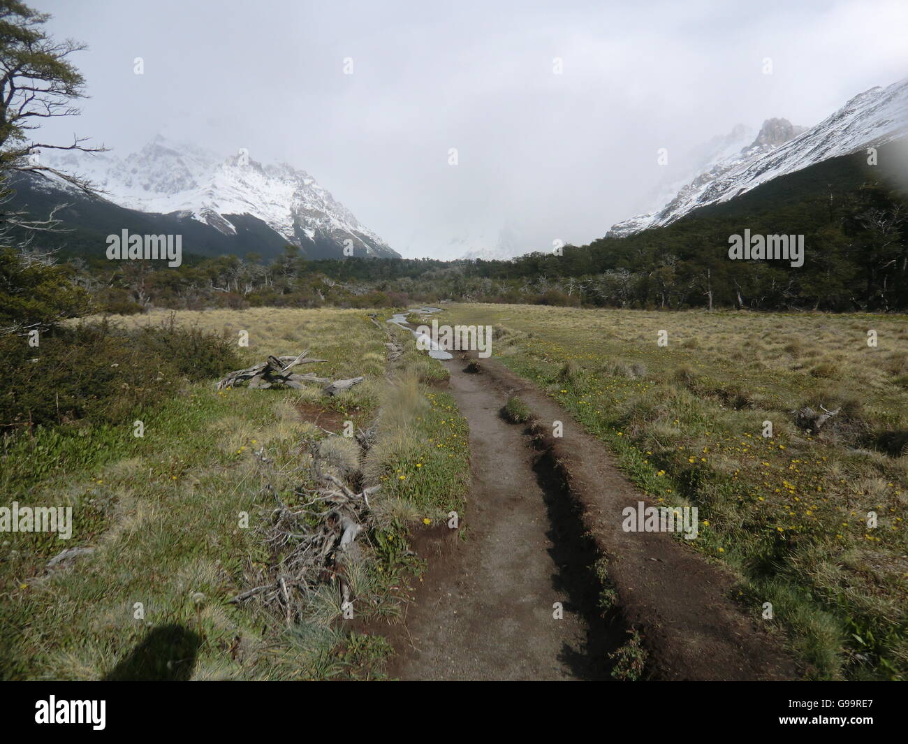 Los Glaciares National Park in der Nähe von Chalten, Patagonien, Argentinien Stockfoto