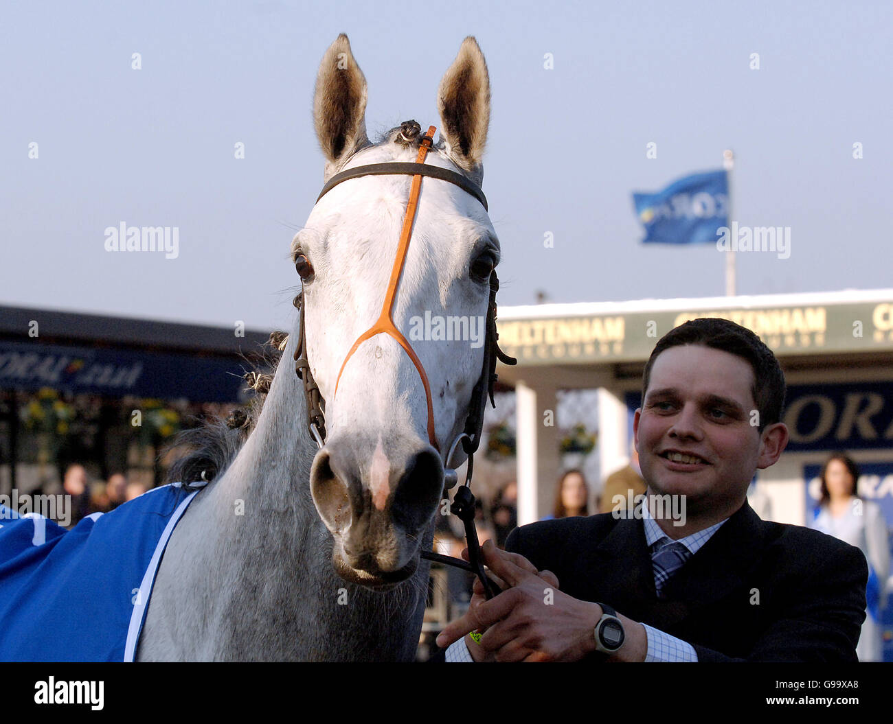 RACING Cheltenham. Himmel ist die Grenze Stockfoto