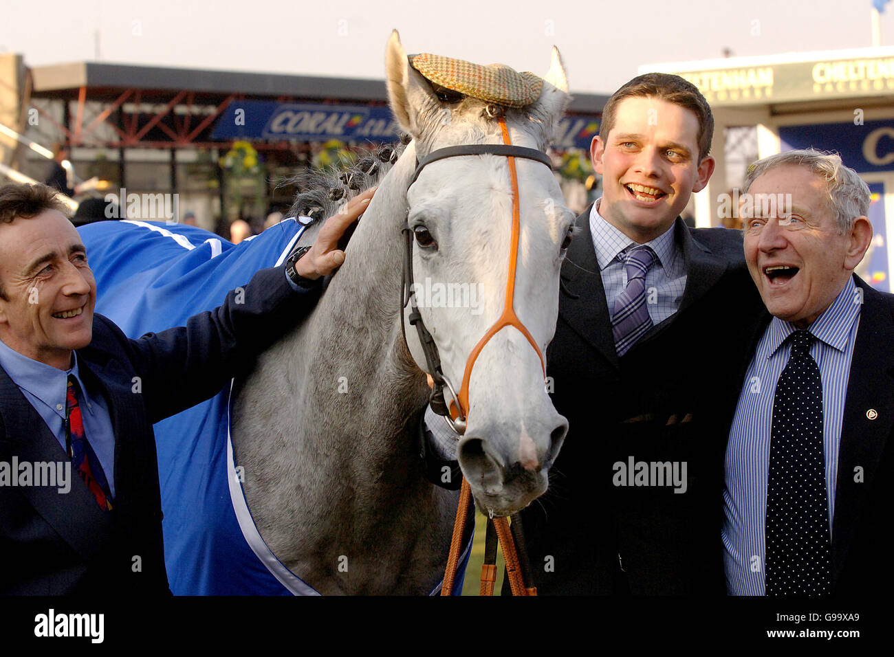 RACING Cheltenham. Himmel ist die Grenze Stockfoto