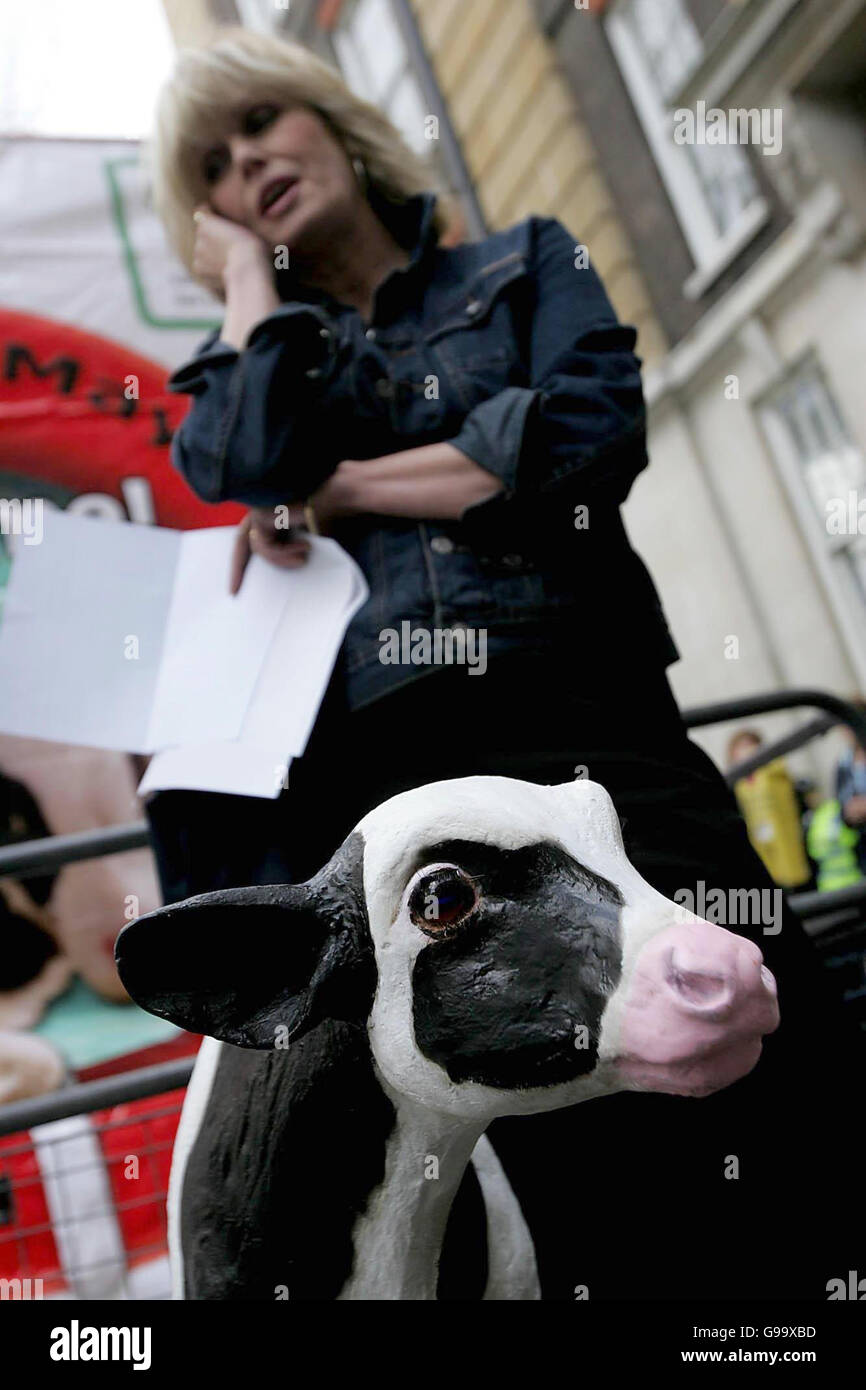 Schauspielerin Joanna Lumley steht hinter einer Plastik Kuh vor dem Büro von Defra im Zentrum von London, wo sie eine riesige Postkarte an Minister Ben Bradshaw als Teil einer Kampagne, britische Kälber vor Export Elend zu retten gab. Stockfoto