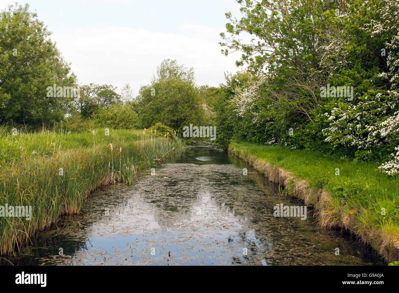 Führt Teil des Kanals Montgomery Stockfoto