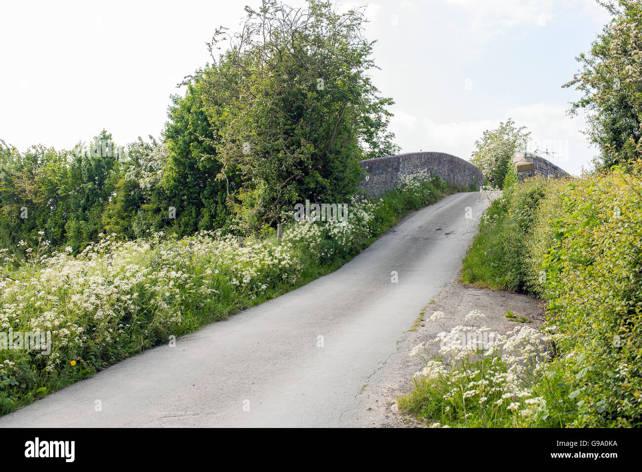 Einspurige Strecke über eine Brücke Stockfoto