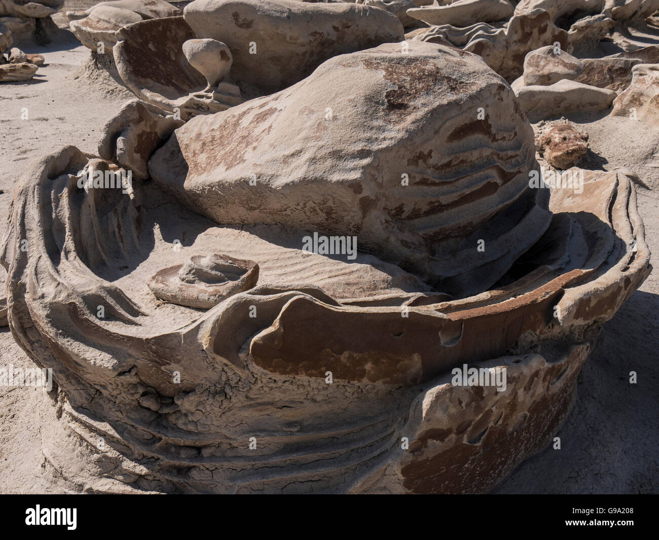 Geknackt Eiern Fabrik, Bisti Badlands, Bisti/De-Na-Zin Wilderness Area südlich von Farmington, New Mexico. Stockfoto