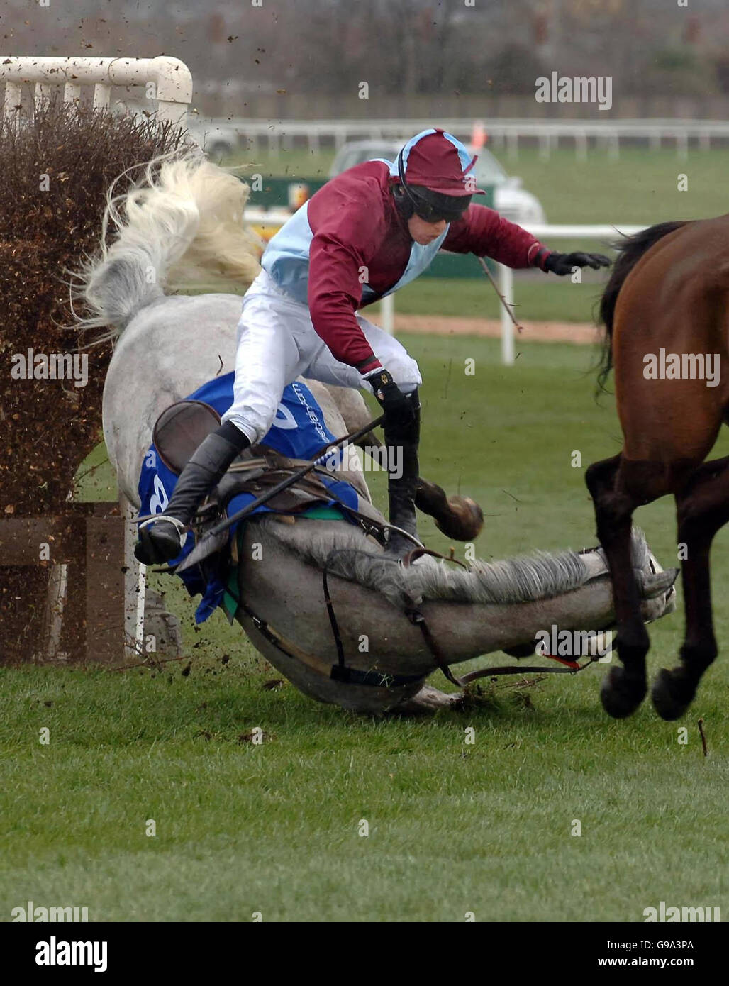 Der königliche Kaiser und Jockey Dominic Elsworth fallen am zweitletzten Zaun in der Betfair Bowl Chase am ersten Tag des Grand National Meetings auf der Aintree-Rennbahn, Donnerstag, 6. April 2006. Stockfoto