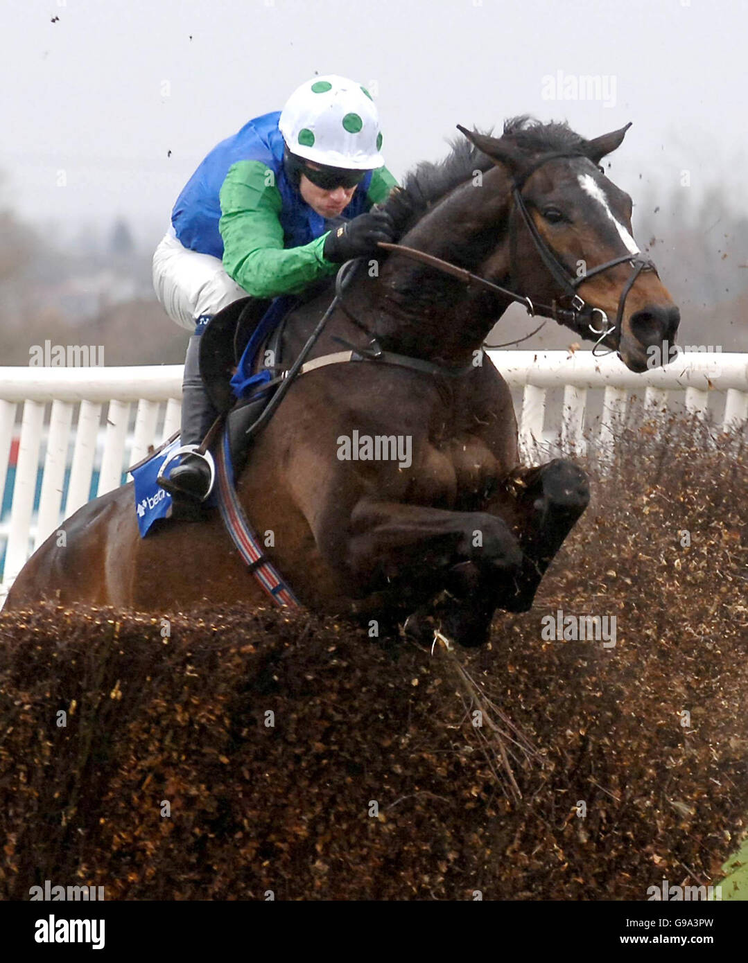 Celestial Gold und Jockey Timmy Murphy gewinnen die Betfair Bowl Chase am ersten Tag des Grand National Meetings auf der Aintree-Rennbahn, Donnerstag, den 6. April 2006. Stockfoto