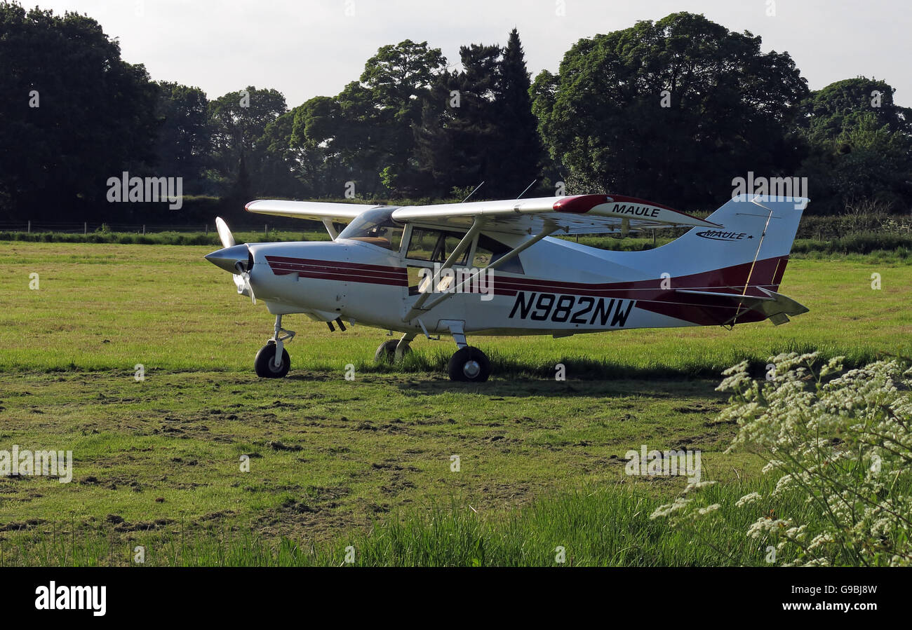 Maule MXT7 N982NW, in einem Feld Lymm, Cheshire, England, UK Stockfoto