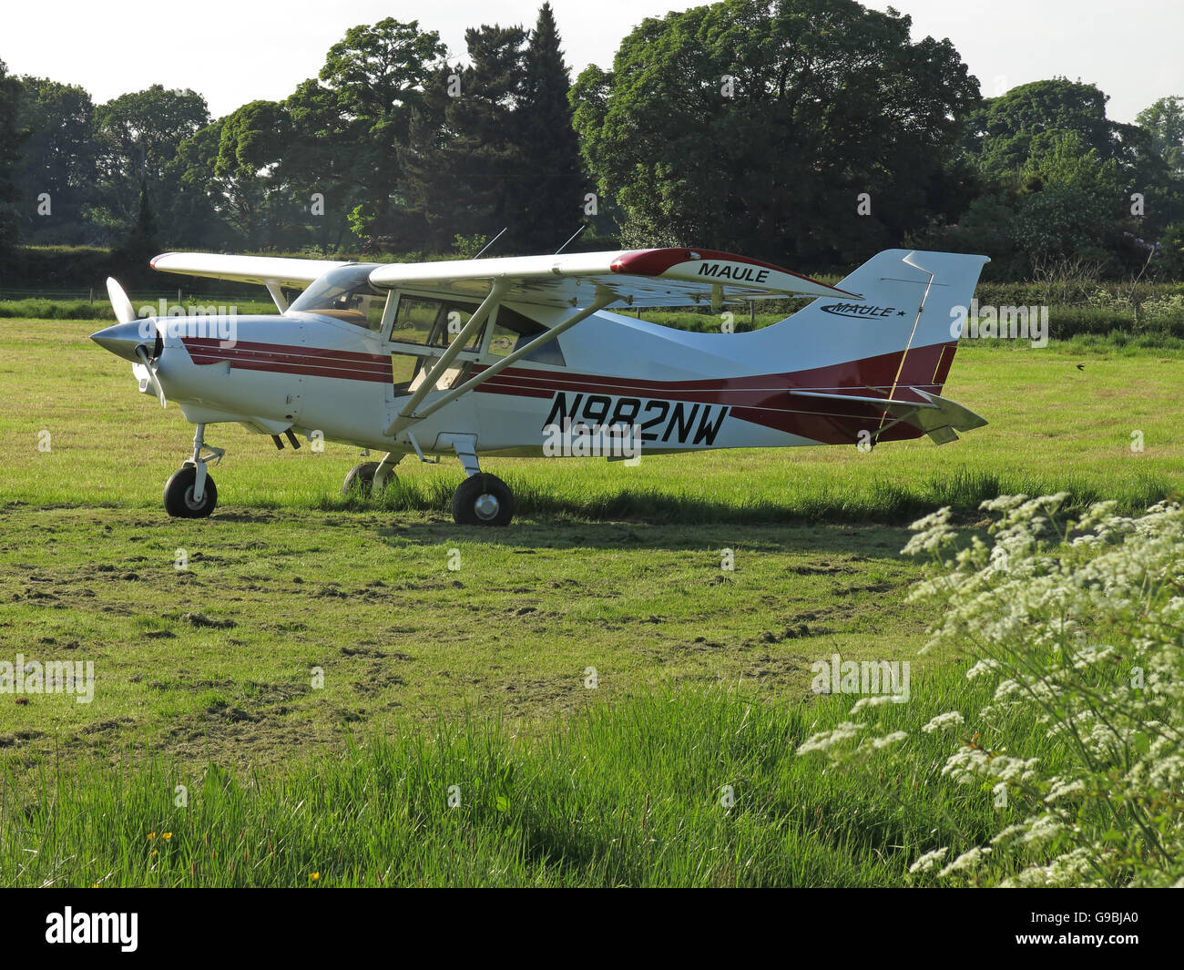 Maule MXT7 N982NW, in einem Feld Lymm, Cheshire, England, UK Stockfoto