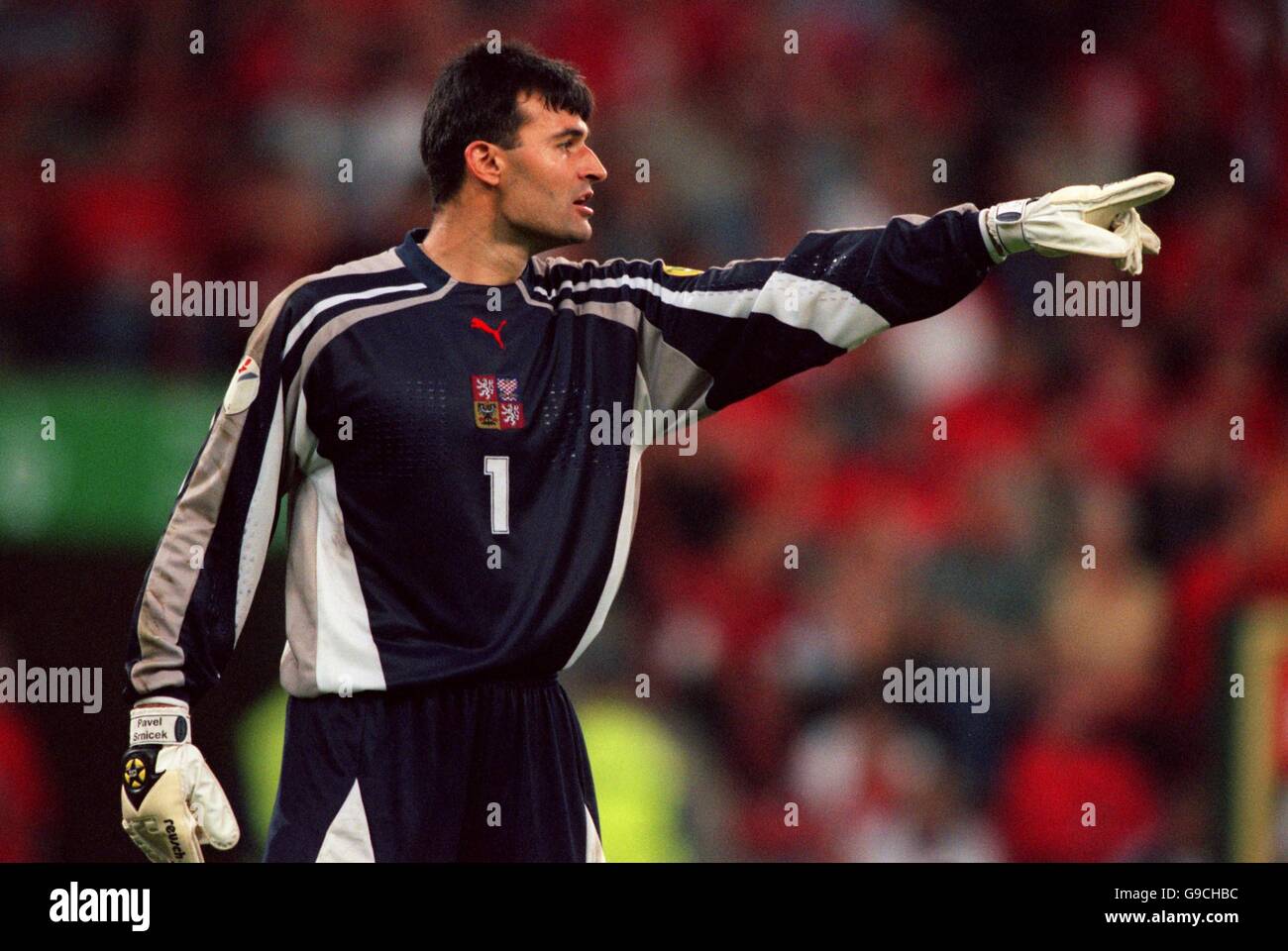 Fußball - Euro 2000 - Gruppe D - Dänemark - Tschechische Republik. Pavel Srnicek, Torwart der Tschechischen Republik Stockfoto