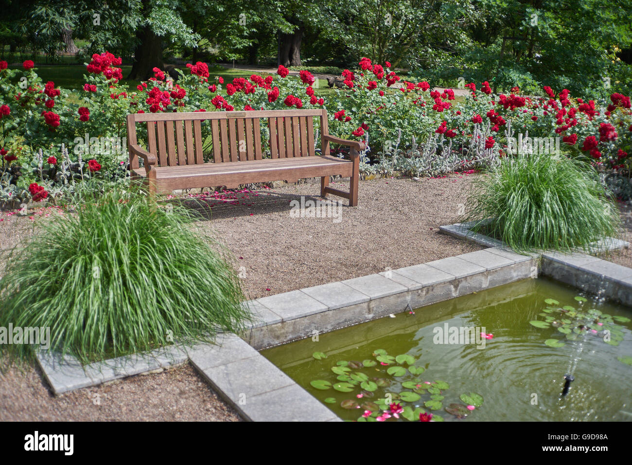 Bank zwischen blühenden Rosen und Teich Breslau botanische Gradens