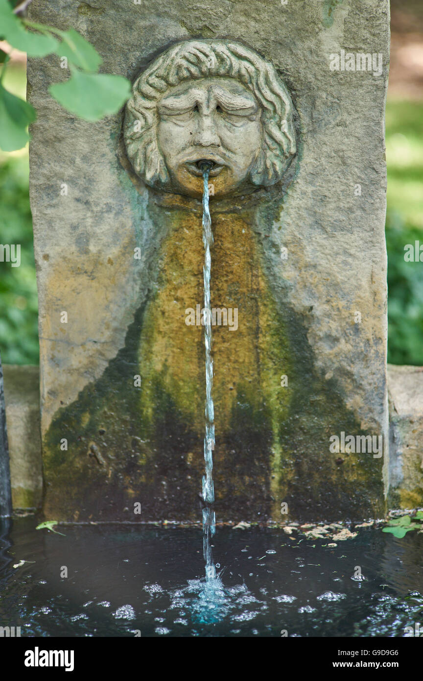 Brunnen in Form eines traurigen faltigen Gesicht Botanical Gardens Breslau Stockfoto