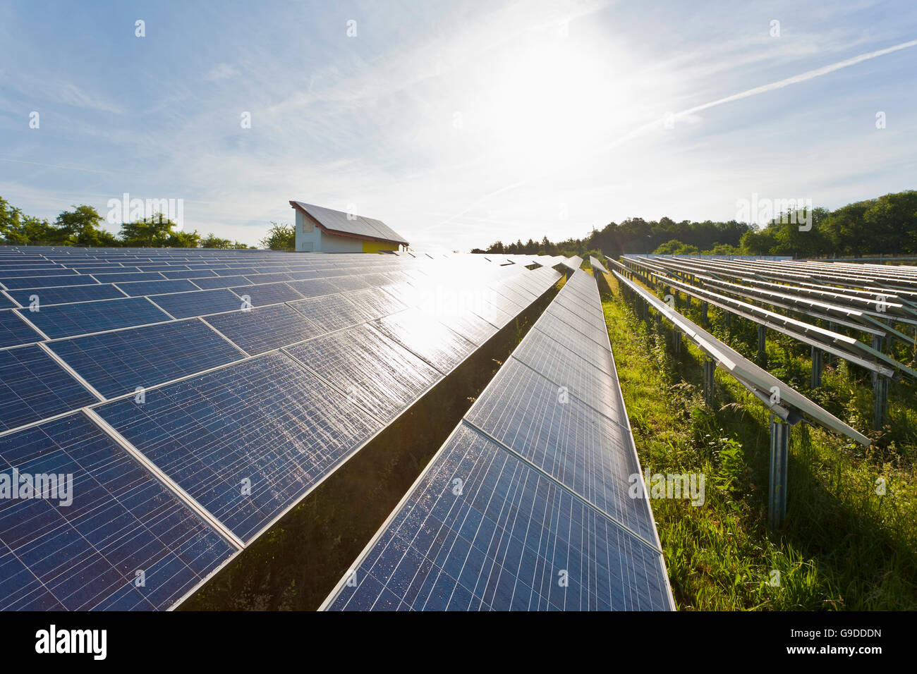 Solarzellen, Solarmodule in der Nähe von Winnenden, Solarenergie, Photovoltaik, Baden-Württemberg Stockfoto