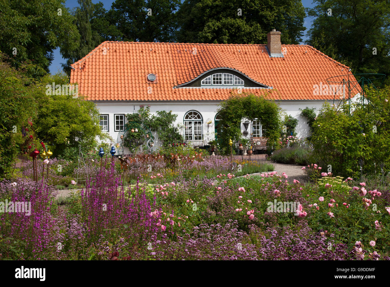 Botanischer Garten, Schloss Glücksburg, Flensburger Förde, Schleswig-Holstein Stockfoto