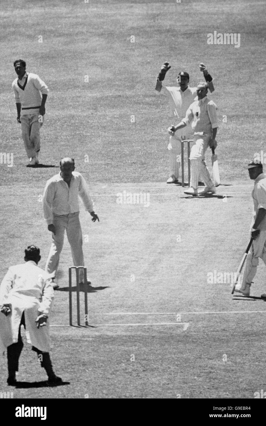 Cricket - Match - Westprovinz V England - Newlands Tour - Dritter Tag Stockfoto