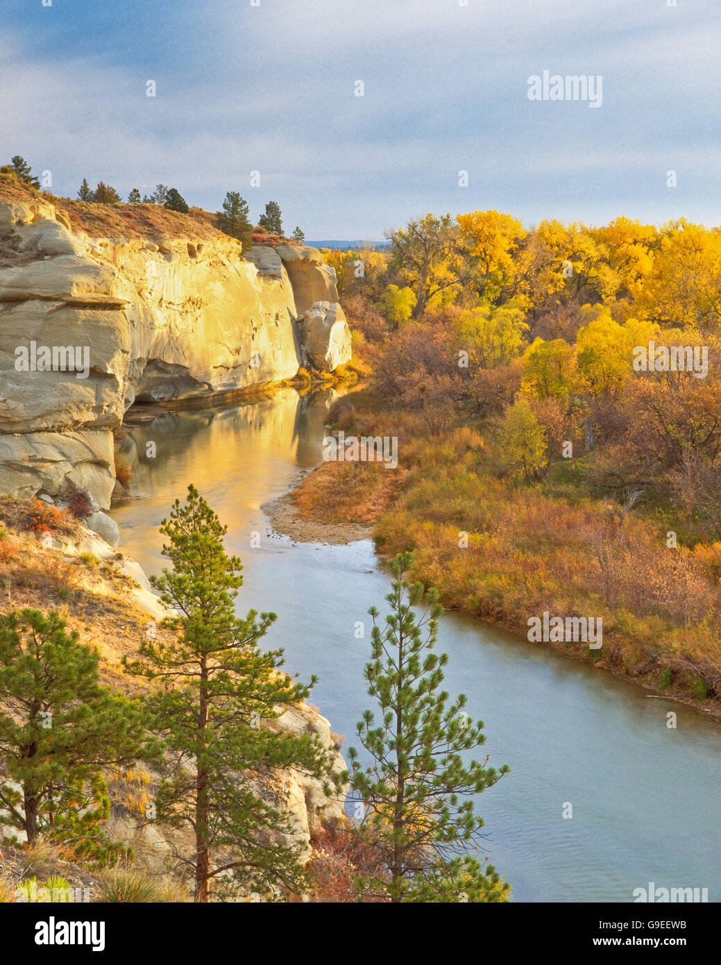Farben des Herbstes und Klippen entlang der Zunge-Flusses in der Nähe von  Ashland, montana Stockfotografie - Alamy