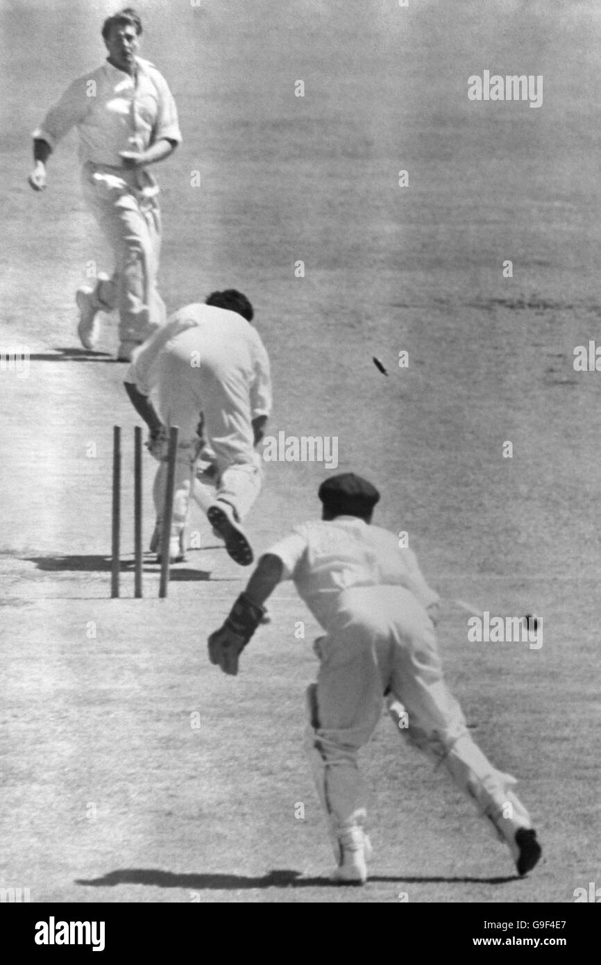 Cricket - die Asche - erster Test - Australien gegen England - die Gabba - Dritter Tag. Der englische Reg Simpson (c) wird für 2 vom australischen Keith Miller (oben) in den Bohnenkermeister Gil Langley (unten) gewirtet Stockfoto