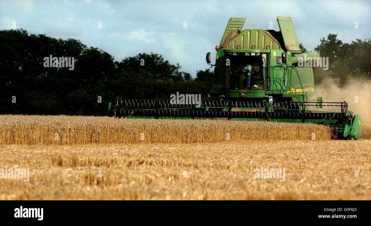 Datei-Bild von Harvester kombinieren in einem Feld in der Nähe von Boxworth, Cambridgeshire. PRESS ASSOCIATION Foto Bild Datum Montag, 7. August 2006. Bildnachweis lauten Chris Radburn/PA Stockfoto