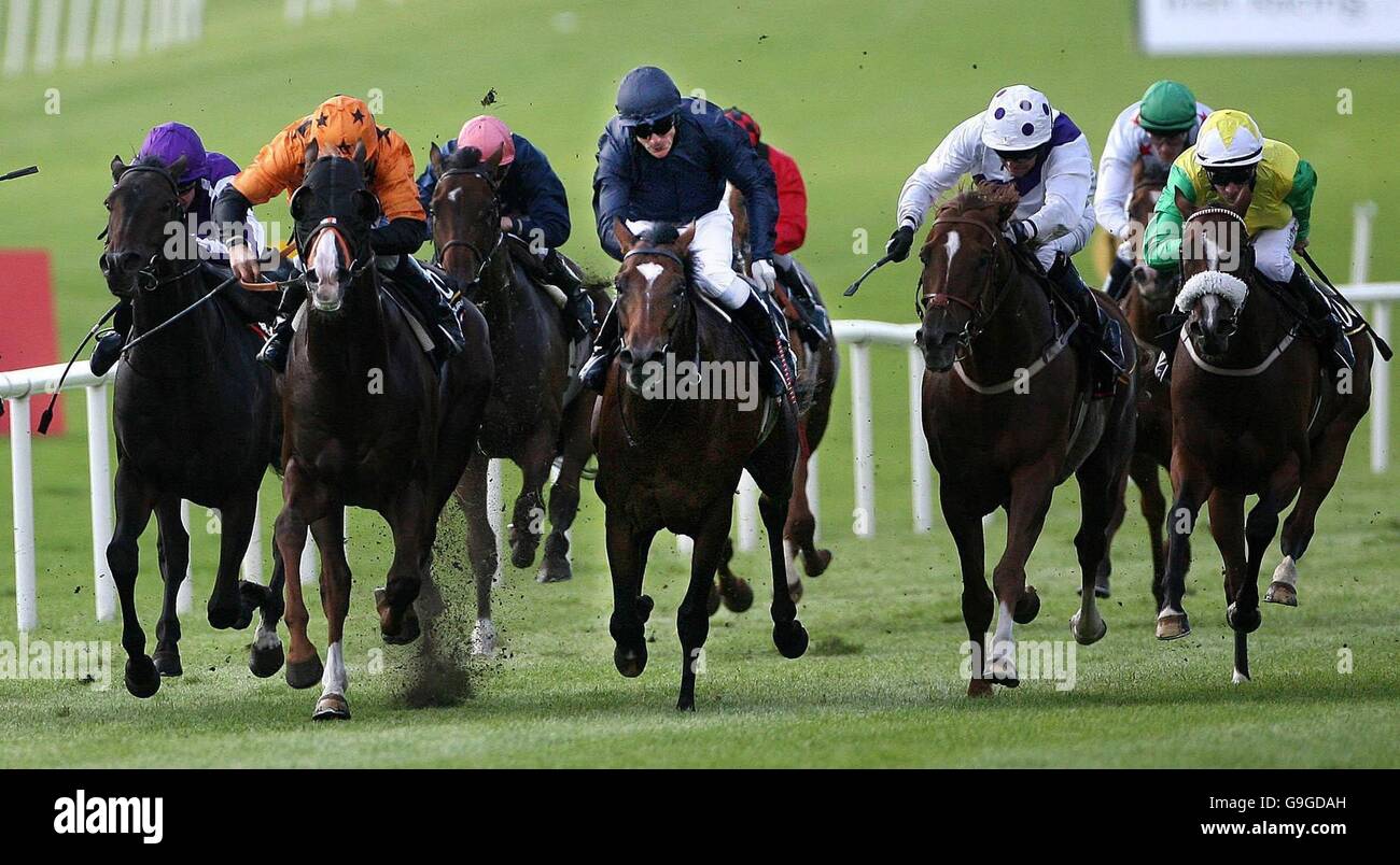 Racing - Curragh Stockfoto