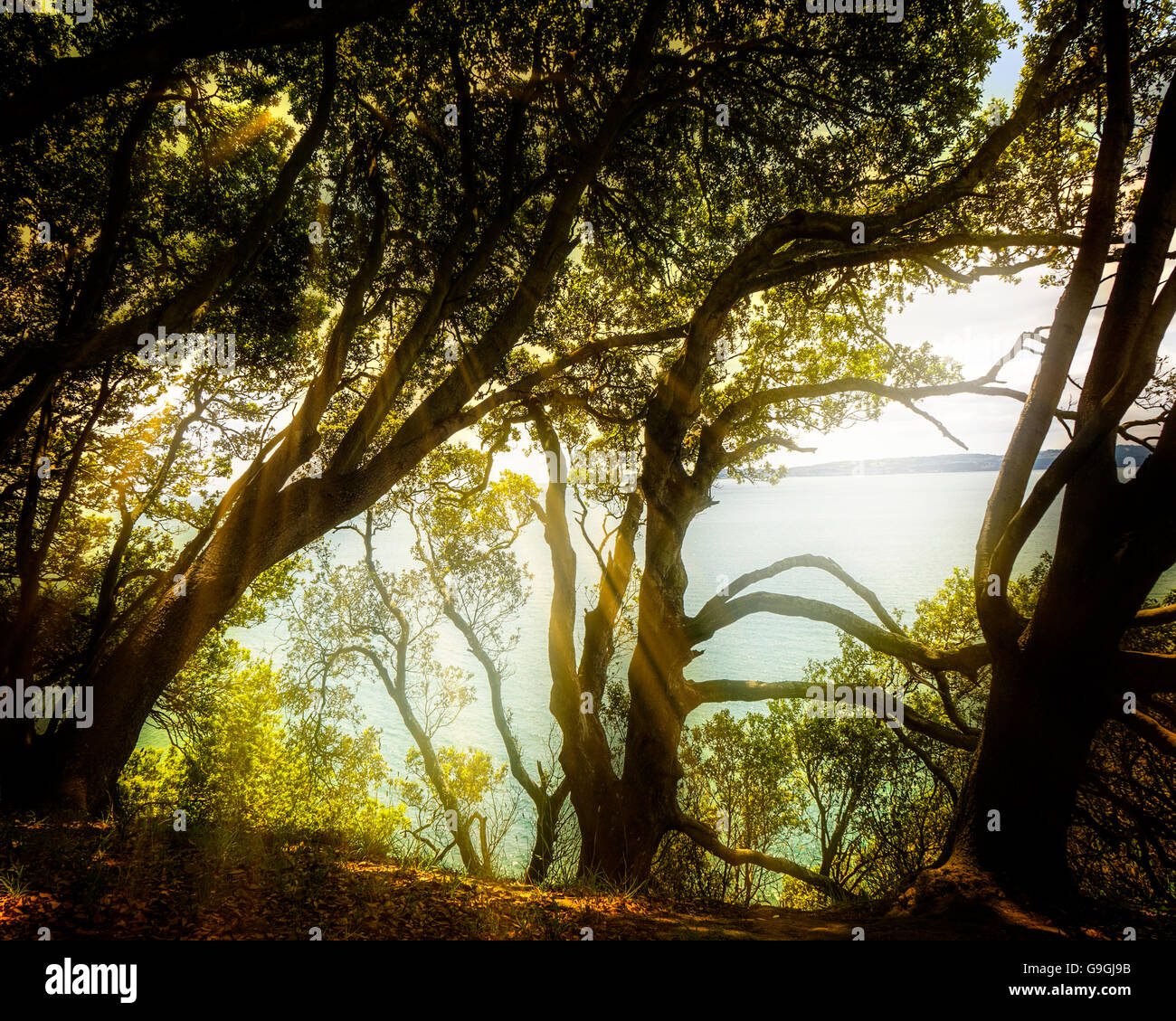 GB - DEVON: Torbay gesehen von Ilsham Marine Drive in der Nähe von Torquay Stockfoto