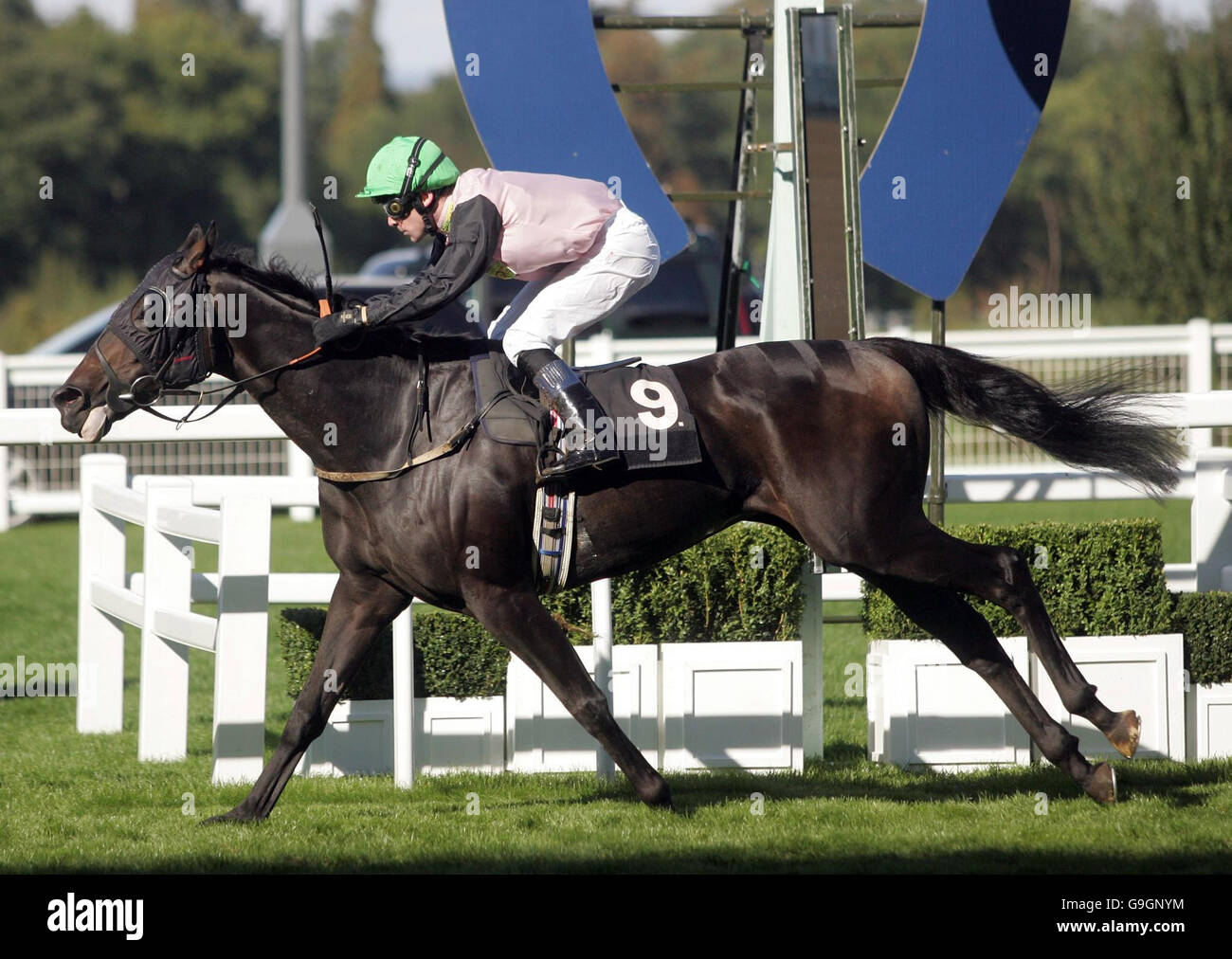 Rennen - Ascot.. Der junge Mick mit Robert Winston gewinnt die Grosvenor Casinos Cumberland Lodge Stakes auf der Ascot Racecourse. Stockfoto