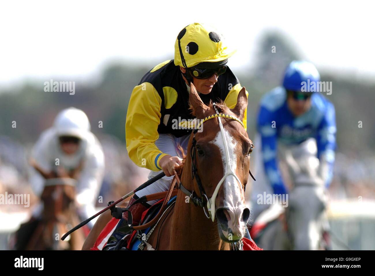 Racing - York - St. Leger Meeting. Frankie Dettori und Sergeant Cecil sind einfache Gewinner des GNER Doncaster Cup auf der Pferderennbahn in York. Stockfoto