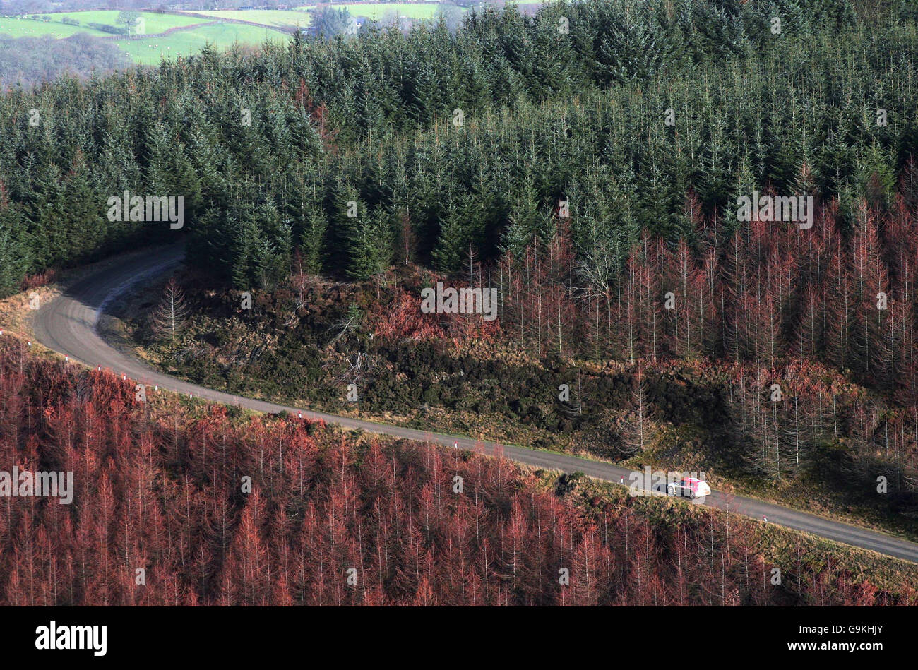 Ein Wettkampf auf der Epynt Special Stage während der Wales Rally Great Britain in Powys. Stockfoto