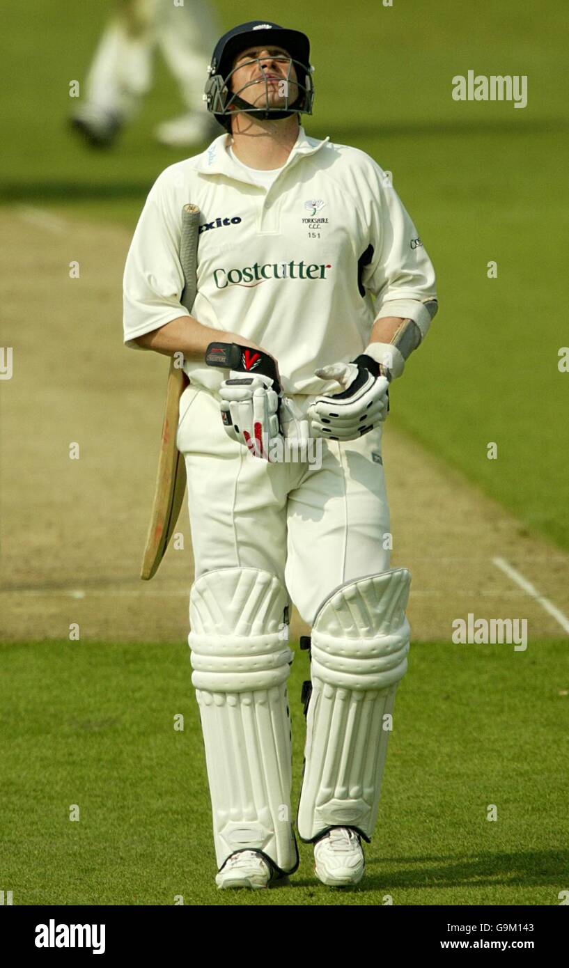 Cricket - Frizzell County Championship - Division Two - Yorkshire V Somerset - Headingley Stockfoto