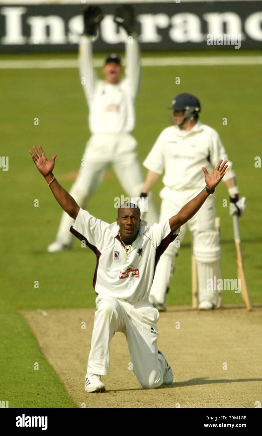 Cricket - Frizzell County Championship - Division Two - Yorkshire / Somerset - Headingley. Nixon McLean von Somerset appelliert an das Dickicht von Matthew Wood in Yorkshire Stockfoto