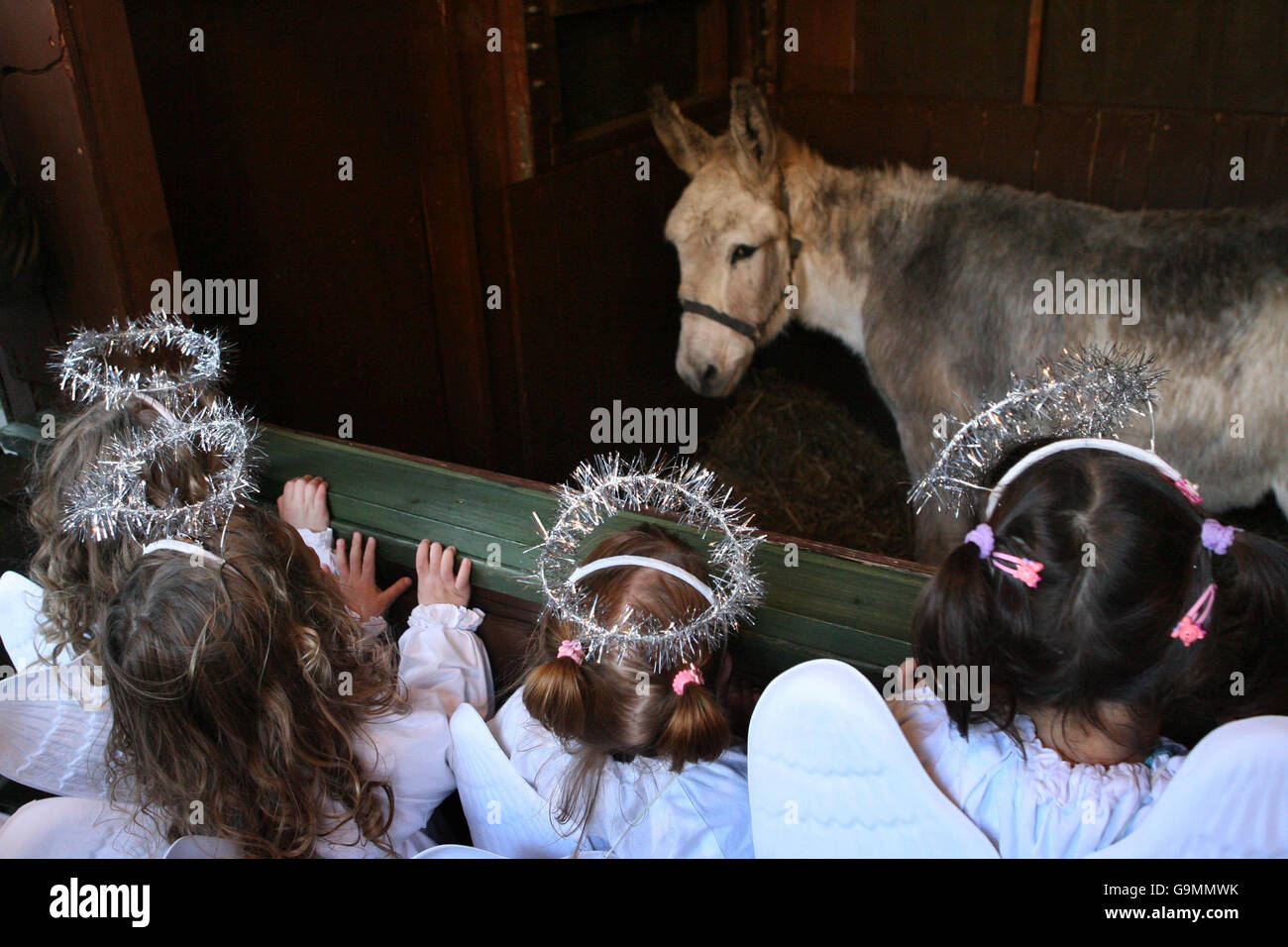 Kinder von St. Joseph's Nursery in Maryland, Dublin, schauen sich einen Esel in der lebenden Tierkrippe im Mansion House in Dublin an. Stockfoto