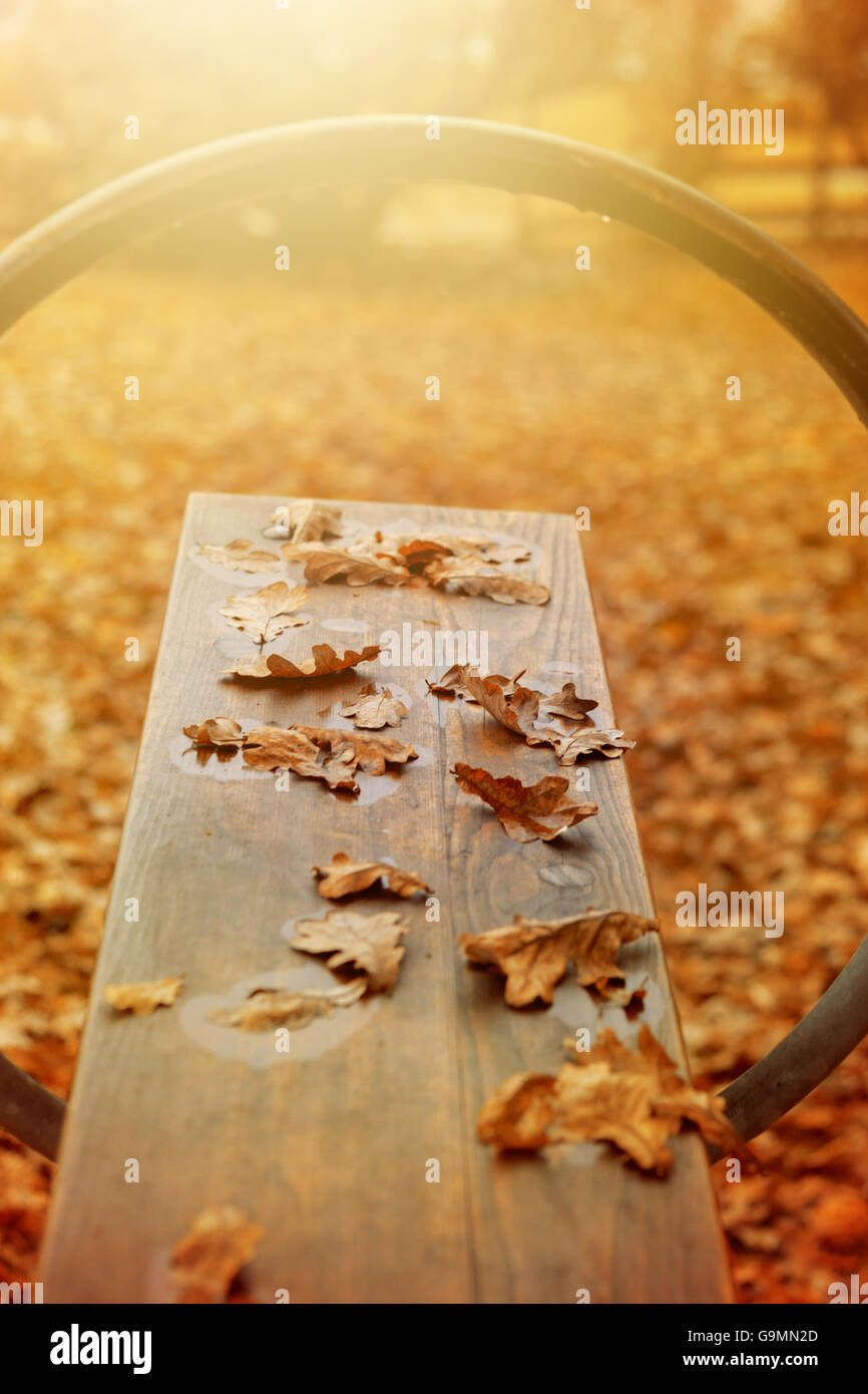 leere Wippe mit Herbstlaub drauf Stockfoto