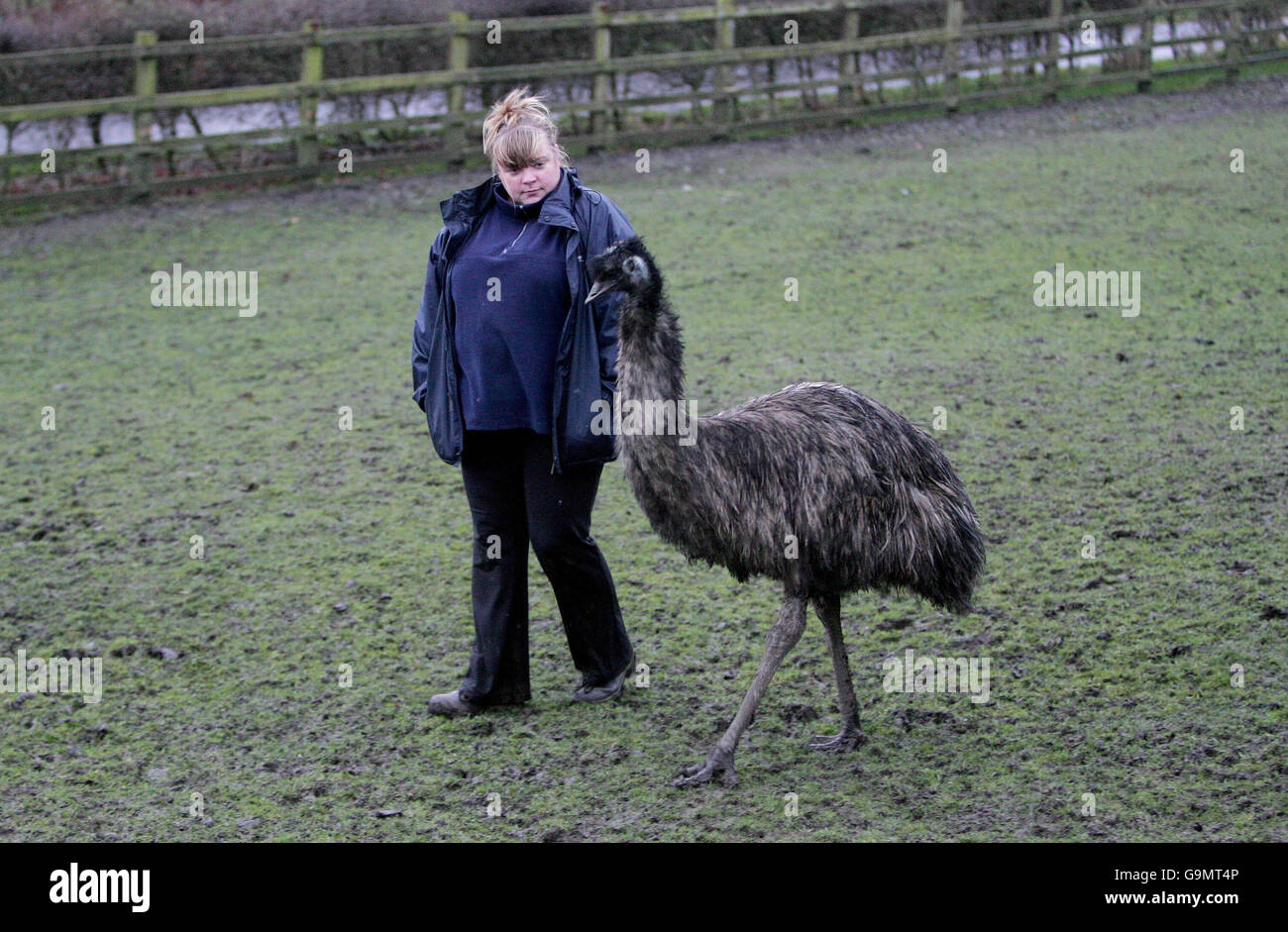 WWU gestohlen Stockfoto