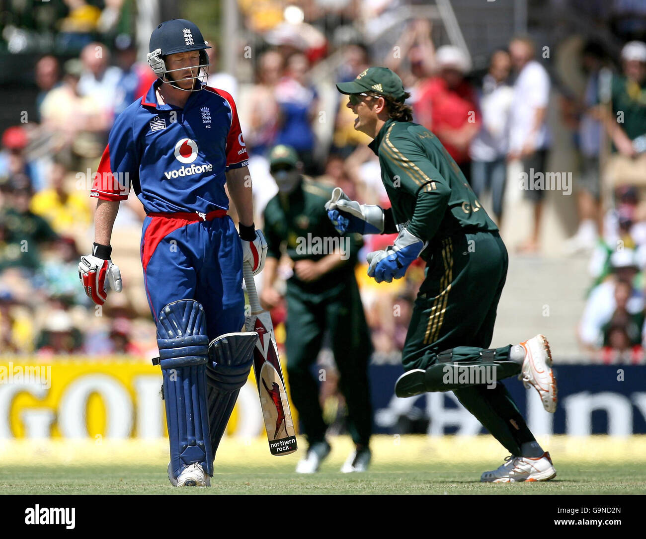 Der Engländer Paul Collingwood verlässt das Feld, nachdem er sein Wicket verloren hat, während der australische Wicketkeeper Adam Gilchrist während seines One Day International-Spiels im Adelaide Oval in Adelaide, Australien, einläuft. Stockfoto