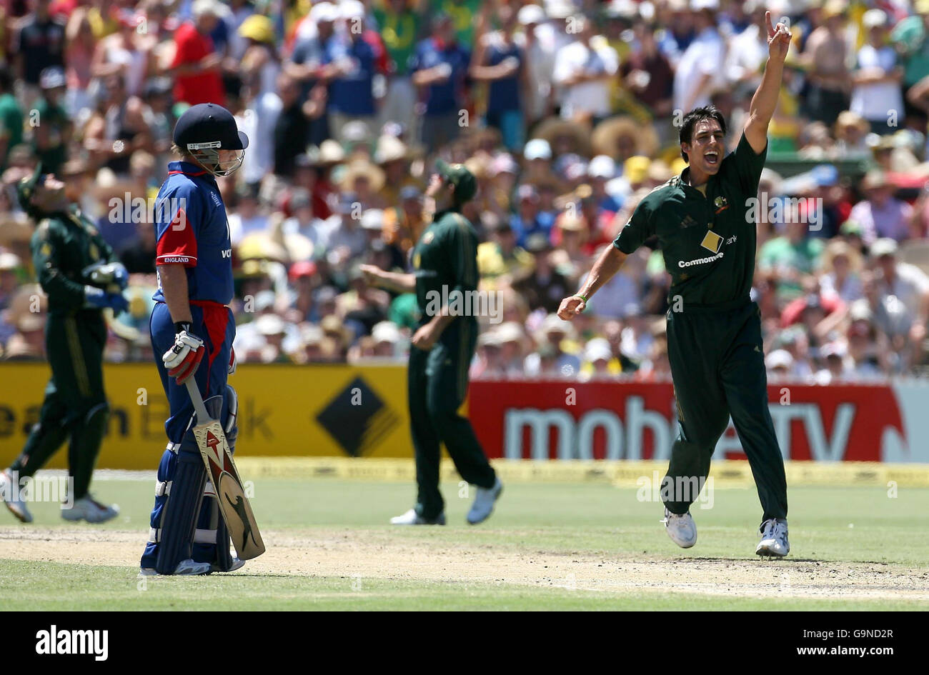 Der Australier Mitchell Johnson feiert das „Wicket“ des Engländers Andrew Strauss bei seinem „One Day International“-Spiel im Adelaide Oval, Adelaide, Australien. Stockfoto