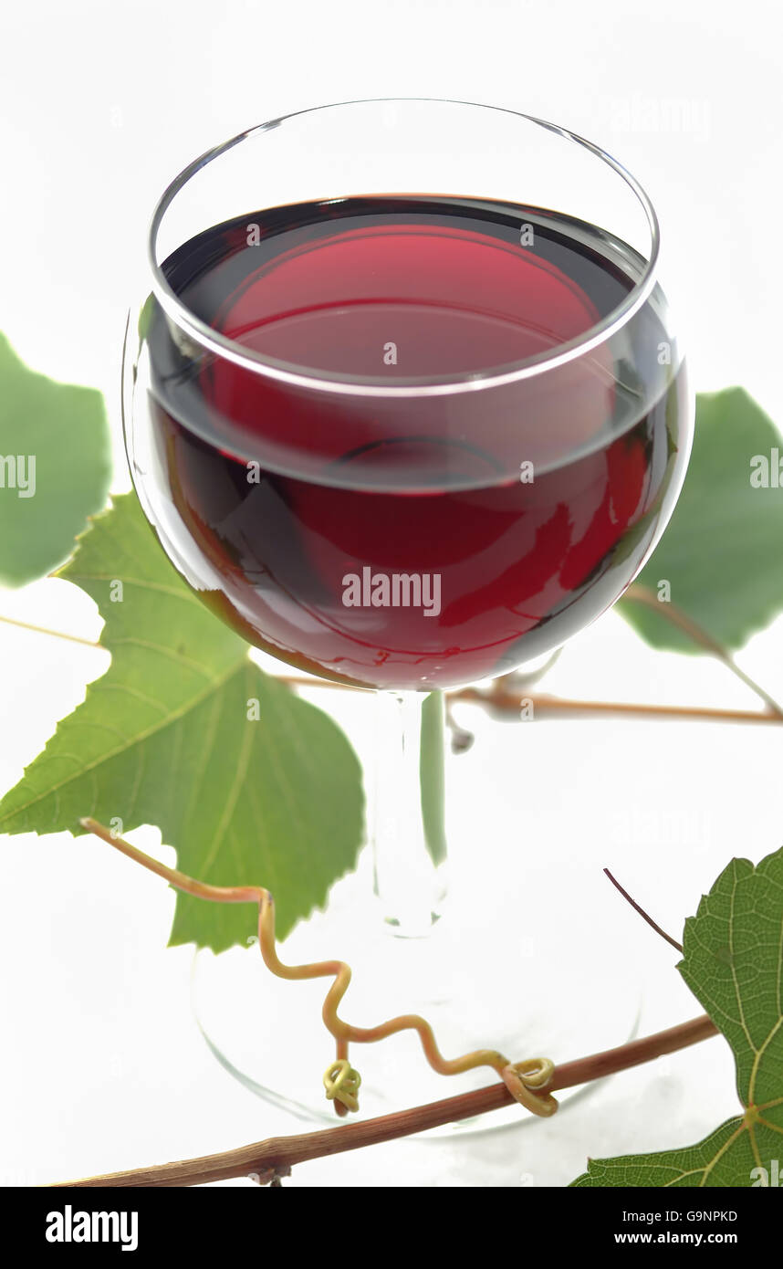 Glas Rotwein und frische Blätter auf weißem Hintergrund Stockfoto