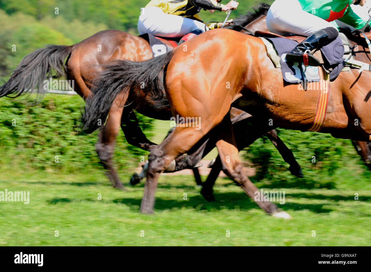 Rasen / Thouroughbred, Rennen, Galopp, Jockeys, jockey Stockfoto