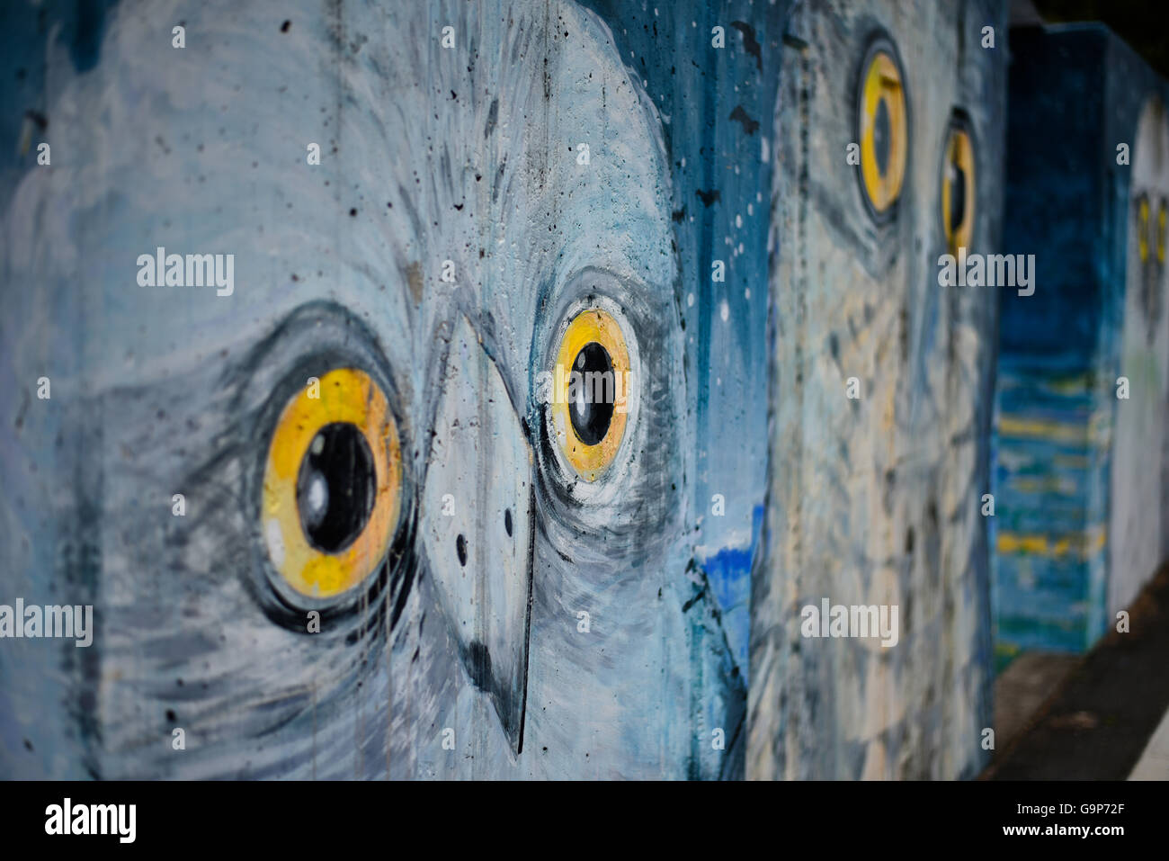 Nahaufnahme von Eule gemalt Wandbild an Graffitiwand in Murwillumbah, Nsw, new-South.Wales, Australien Stockfoto