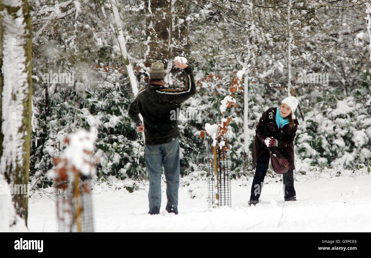 Ein Paar nimmt an einer Schneeballschlacht in Virginia Water, Surrey, Teil. Stockfoto