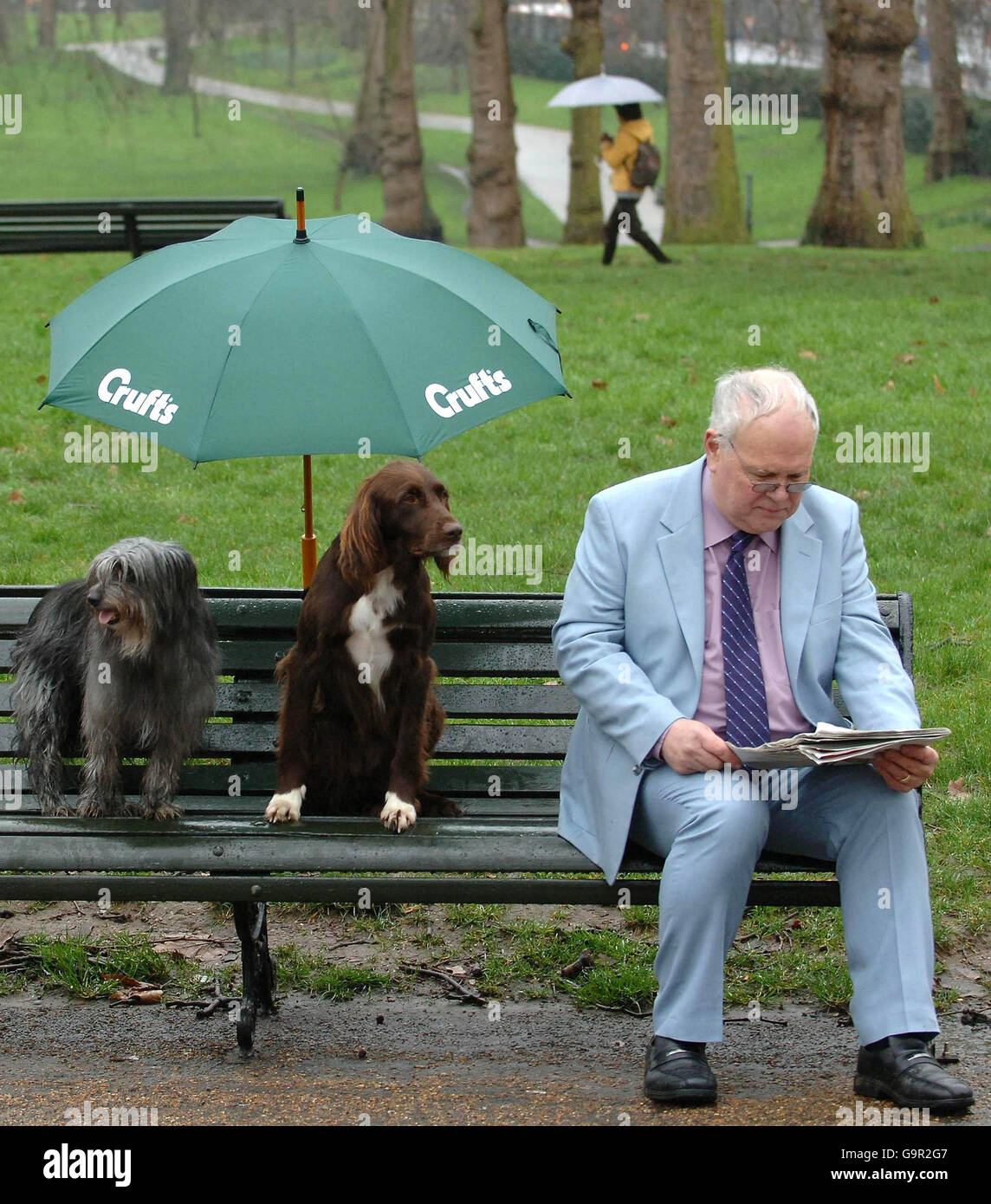 Ein deutscher langhaariger Zeiger und ein Pyrenäen-Schäferhund schützen vor dem Regen, während ein Pendler heute im Londoner Green Park seine Zeitung liest, während er eine Fotoausstellung ankündigt, die die diesjährige Crufts Dog Show ankündigen wird, die vom 8. Bis 11. März 2007 im NEC in Birmingham stattfinden wird. Stockfoto