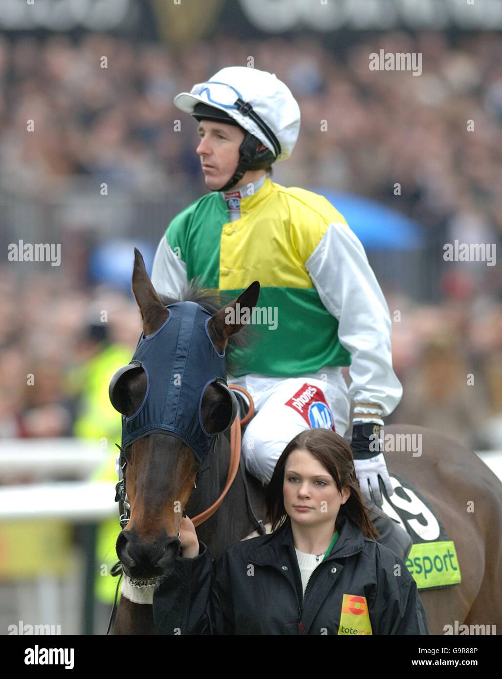 Turpin Green geritten von Tony Dobbin gehen, um Post in Der Totesport Cheltenham Gold Cup Chase (Klasse 1) Stockfoto