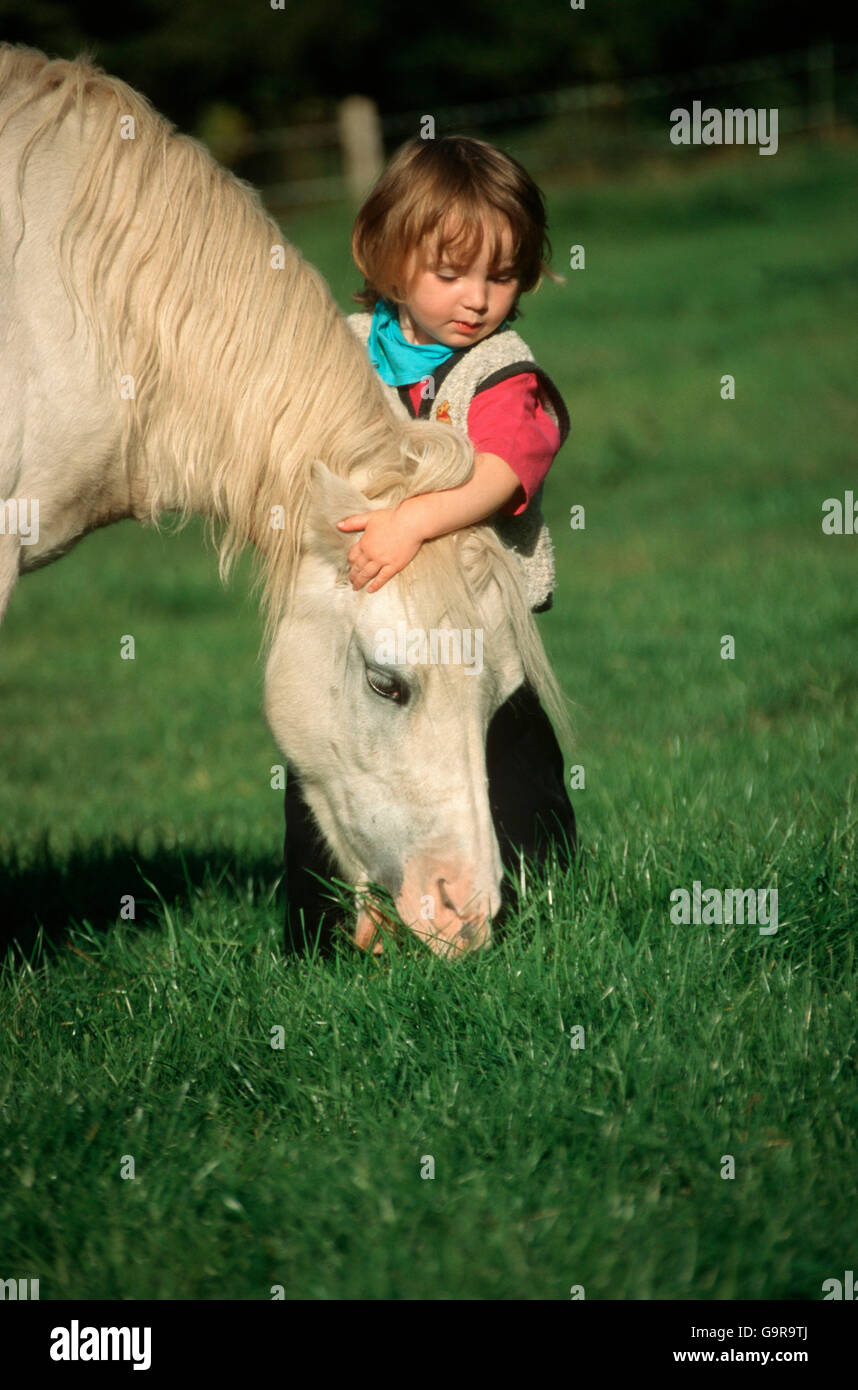 Kleinkind mit Welsh Mountain Pony / Welsh Pony Sektion A Stockfoto