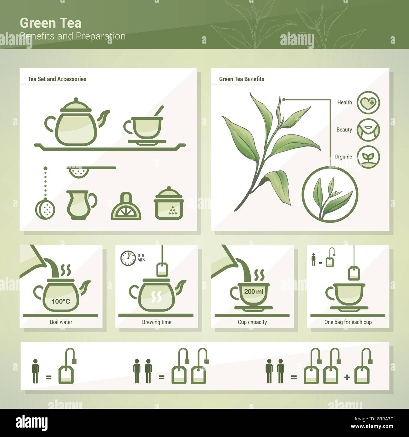 Grüner Tee Zubereitung Verfahren und gesundheitlichen Vorteile Infografik und Icon set Stock Vektor
