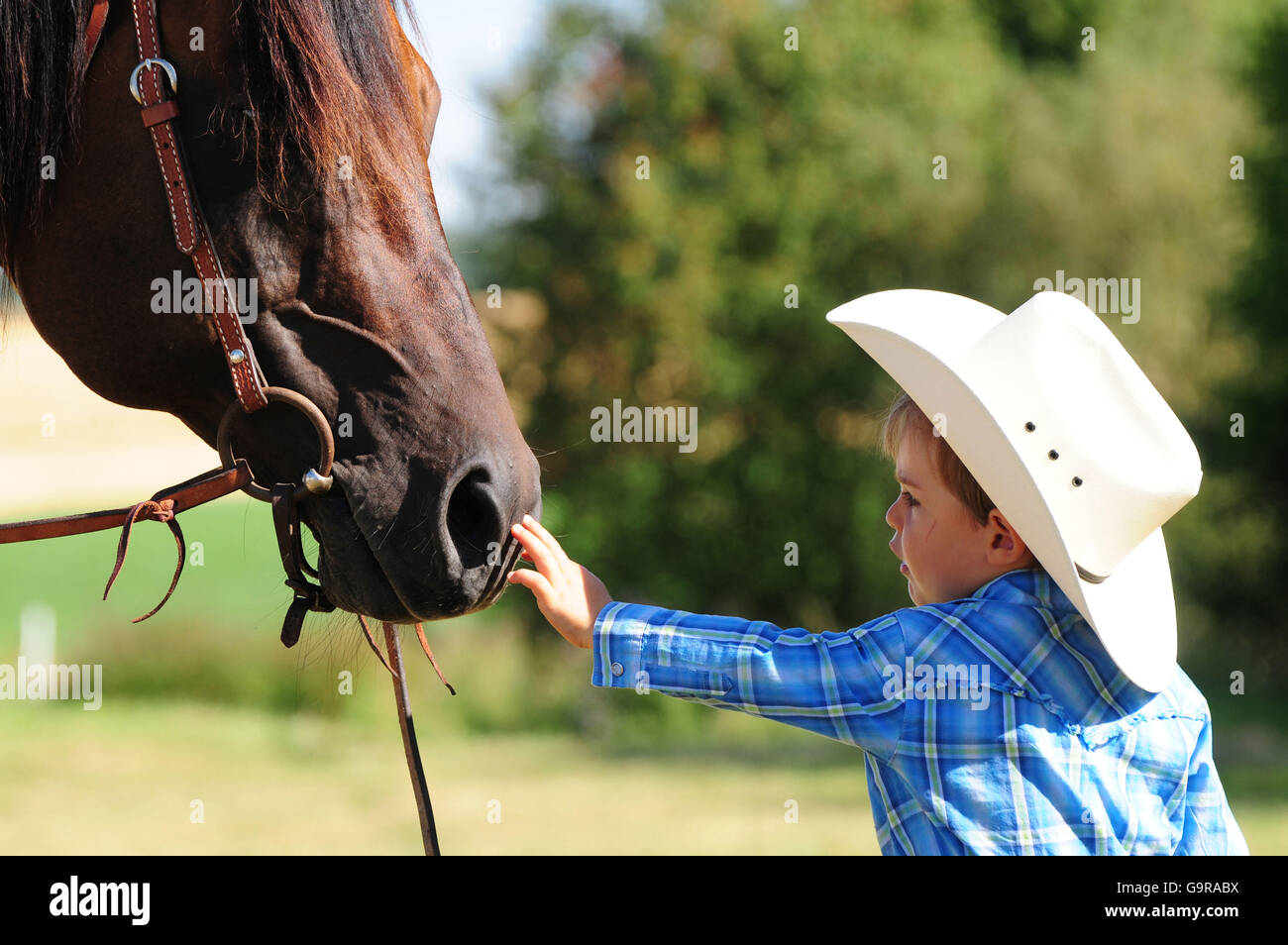 Kleinkind mit Quarter Horse Hengst / Cowboy-Outfit, Zaumzeug Stockfoto