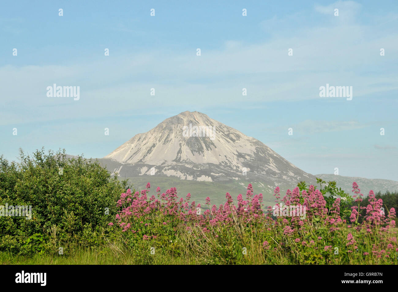 Blick auf Mount Errigal aus Gweedore, County Donegal, Irland Stockfoto