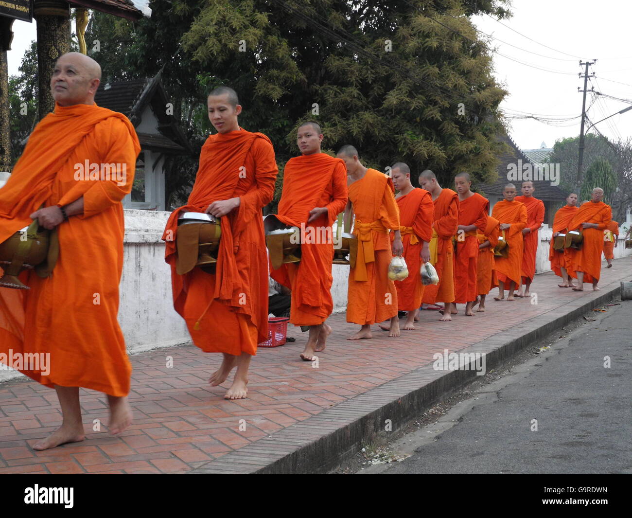 mendicant Mönche gehen für Tak Bat, buddhistische Mönche Morgen Sammlung von Essen, Luang Prabang, Provinz Luang Prabang, Laos, Asien / Luang Prabang Stockfoto