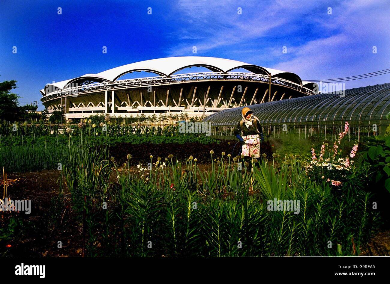 FIFA World Cup 2002 - Korea/Japan - Niigata, Japan - große Swan Stadion Stockfoto
