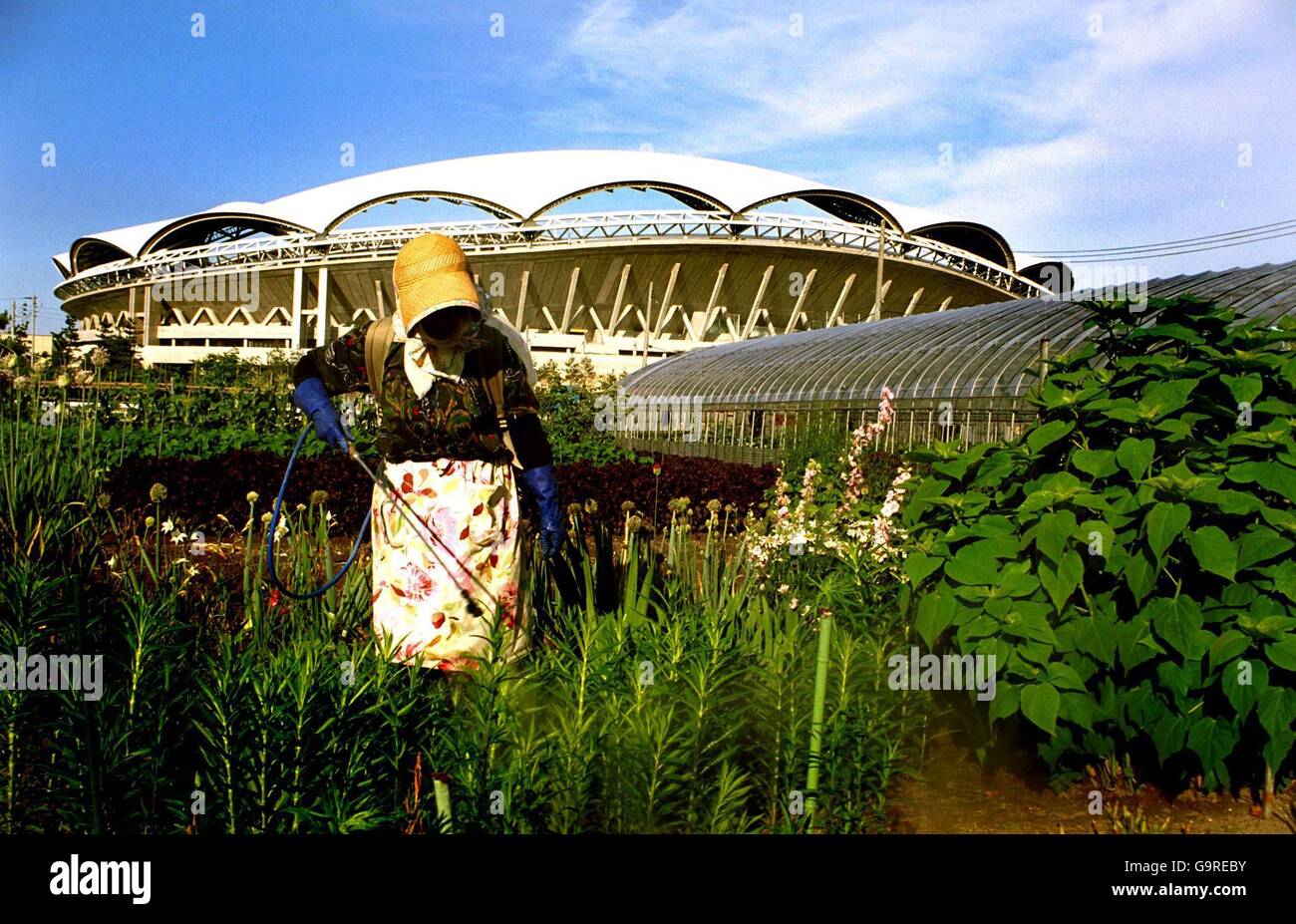 Eine japanische Gärtnerin sprüht ihre Produkte in Niigata mit Das Big Swan World Cup Stadion im hinteren Teil von Ihr Garten Stockfoto