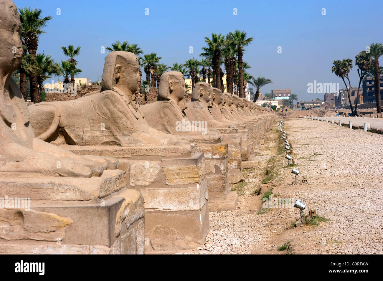 Neu ausgegraben Sphinx Avenue, Prozessionsstraße zwischen Luxor Tempel und Karnak-Tempel, Theben, Luxor, Ägypten Stockfoto
