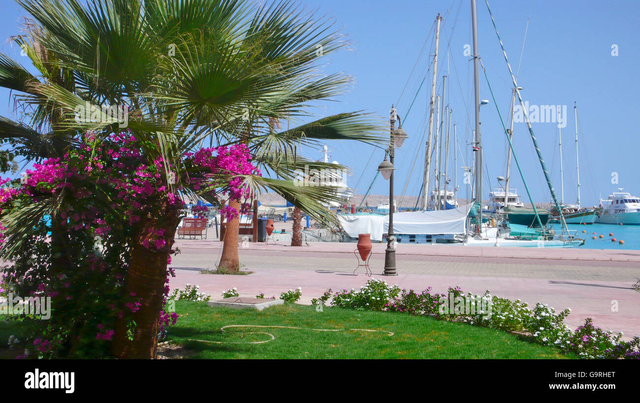 Marina, Marina Boulevard, Yachthafen, Hurghada, Ägypten Stockfoto