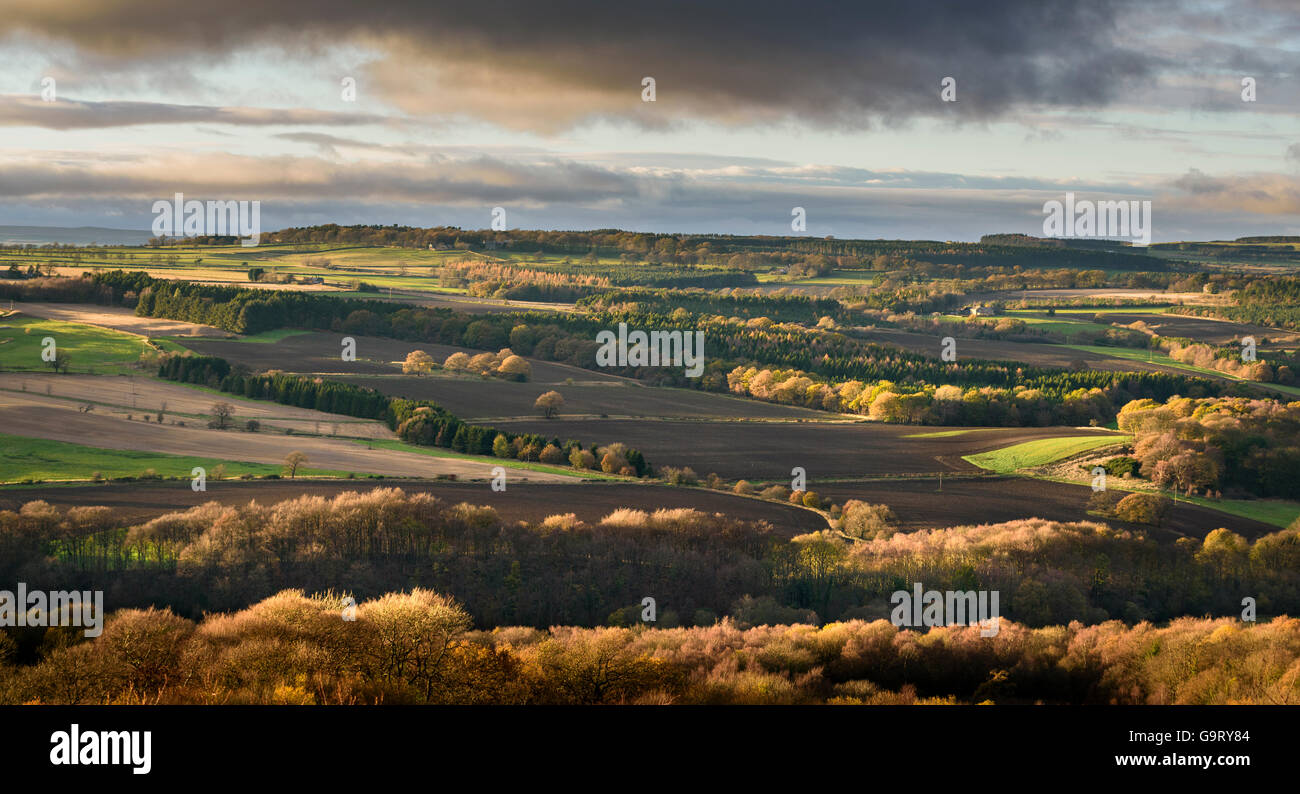 Herbst-Landschaft Stockfoto